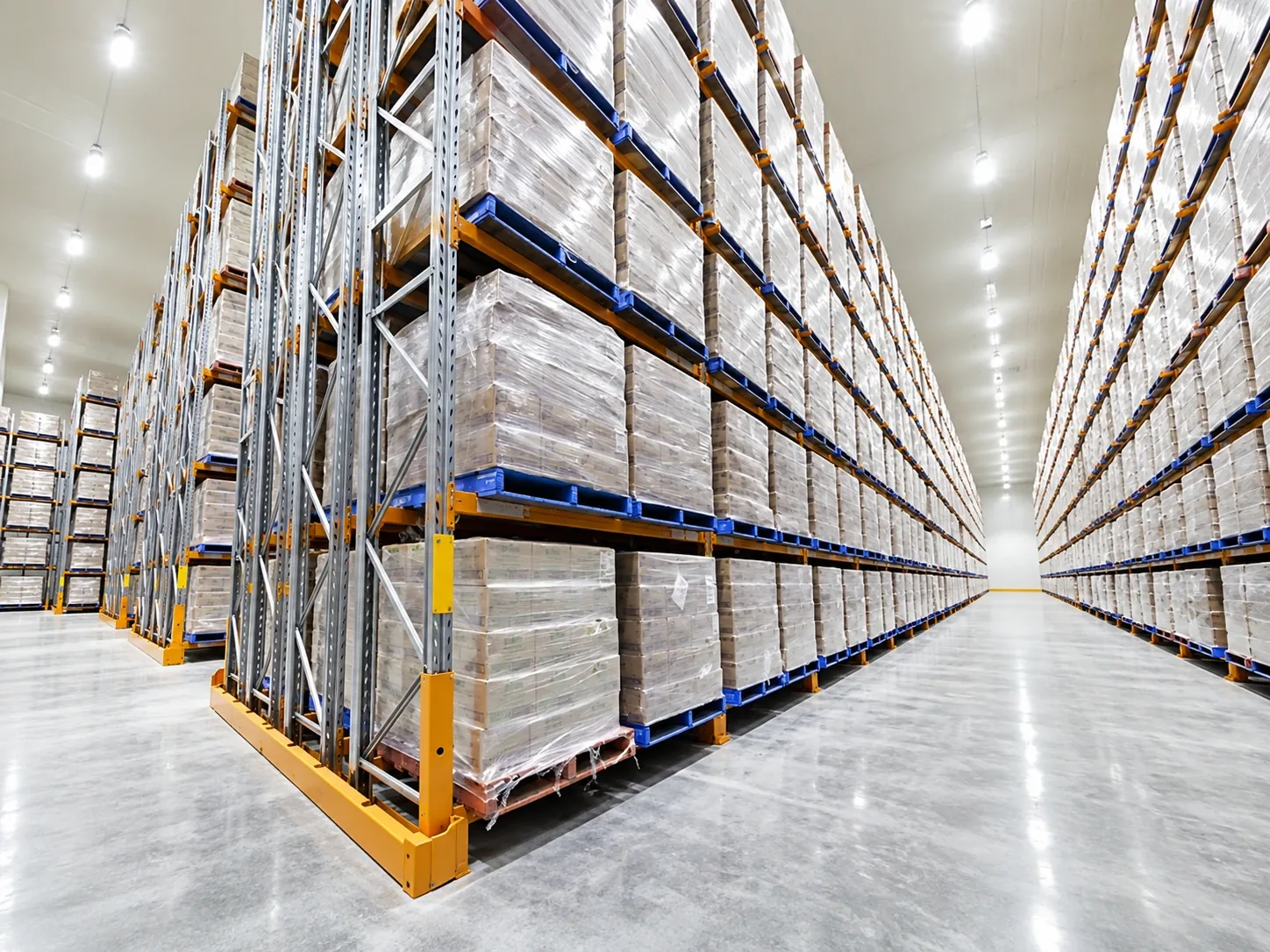 Kệ lưu trữ cho kho lạnh