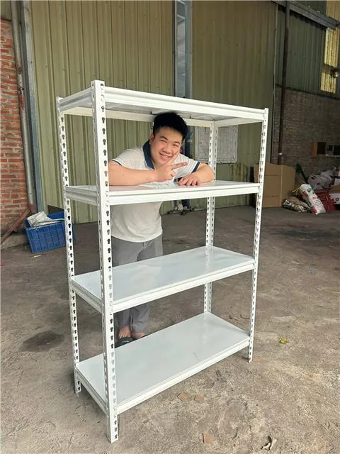 Thư viện Kệ V gài · Album 01 — ảnh xem trước 01